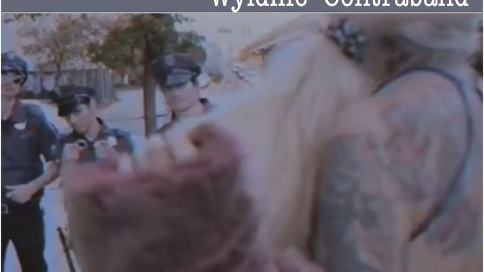 Wyldlife 'Contraband'